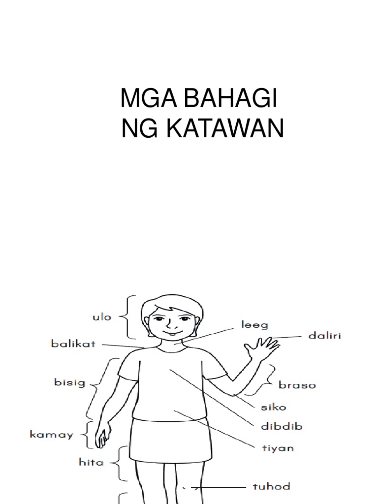 Mga Bahagi NG Katawan | PDF