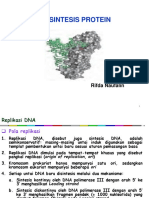 5. Biosintesis Protein