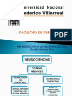 Introducción a la Neuropsicología