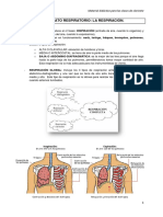 La Respiracion Ejercicios de Respiracion PDF