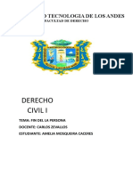 derecho de personas peru