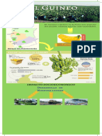 Infografía El Guineo