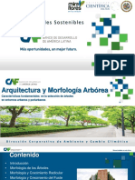 P1_Arquitectura Arbórea Característica Fundamental en La Selección de Árboles en Entornos Urbanos