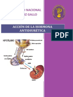 Practica 17 Accion Adh