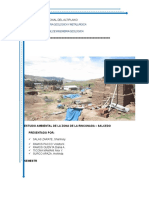 Estudio ambiental de la zona de Salcedo-Rinconada (Puno, Perú