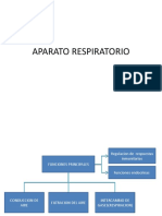 Aparato Respiratorio