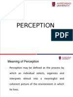 Perception Theories