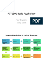 Logical Sequence_Impulse Conduction