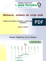 Moluscossssss Bueno