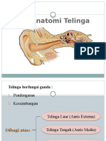 Anatomi Telinga 2