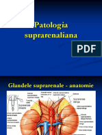 Patologia Suprarenaliana
