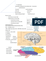 Fisiologi Sistem Saraffa