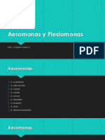 Aeromonas y Plesiomonas: Bacilos Gram negativos causantes de infecciones intestinales