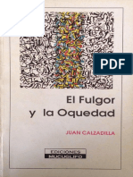 1994-El Fulgor y La Oquedad