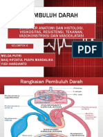 6. Pembuluh Darah