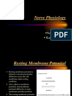 Nerve Physiology: Neha Dhobale Karishma Gavli