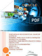 Portafolio de Evidencias PDF