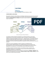 GENERALIDADES DE BACTERIAS.docx