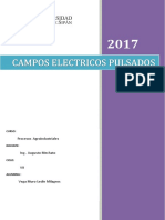 Campos Electricos Pulsados Informe