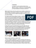 Cultura de Violencia en Guatemala