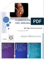 cambiosfisiolgicosdelembarazo-111120224418-phpapp02.pptx