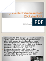 Uji Kualitatif Dan Kuantitatif DNA Dan RNA 2010