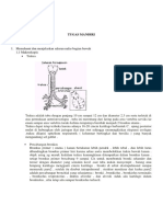 Pbl Sk 2 Respi 