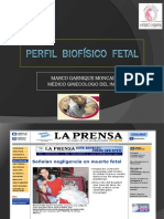 11_perfil_biofisico_fetal.pdf