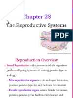 The Reproductive Systems