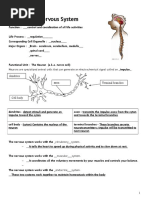 Nervous Endocrine and Feedback Notes KEY.doc