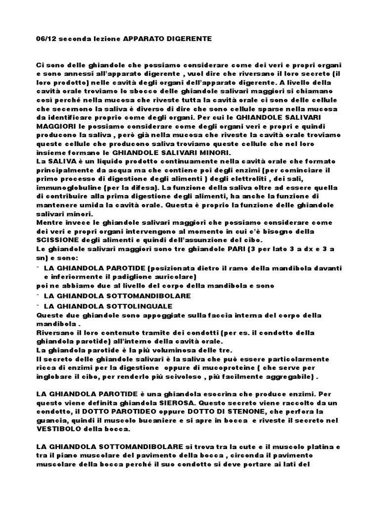 Apparato Digerente 2