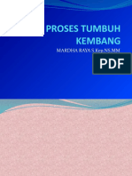 6.REVIEW PROSES TUMBANG.pptx