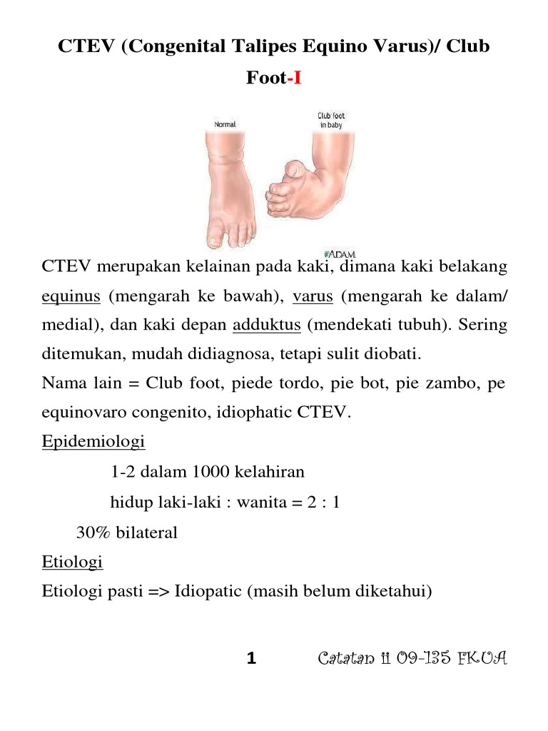 Grace CTEV | PDF