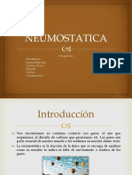 NEUMOSTATICA