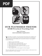 PreKTeachingUnit BIRDS