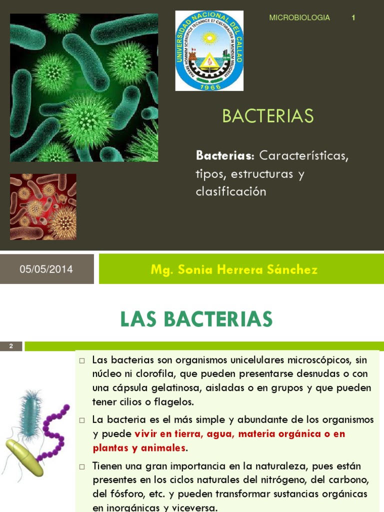 Tipos y Estructura de Bacterias | PDF | Las bacterias | Bacterias Gram ...