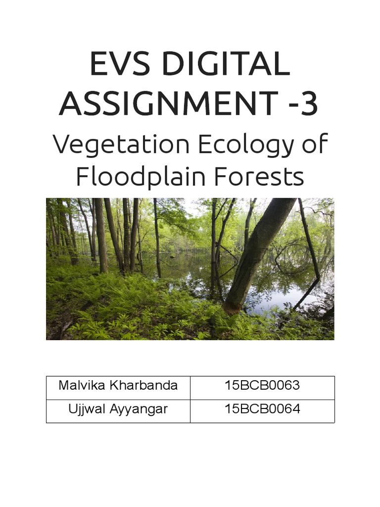 Vegetation Ecology of Floodplain Forests | PDF | Floodplain | Forests