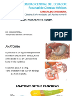 Pancreatitis aguda: anatomía, fisiopatología y tratamiento