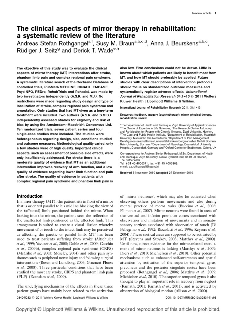 Physical therapy literature review picture