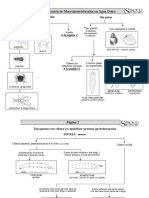 claves de identificacion.pdf