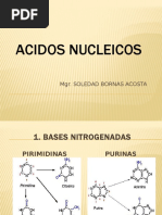 ACIDOS NUCLEICOS