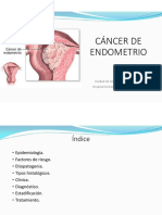 Cancer Endometrio