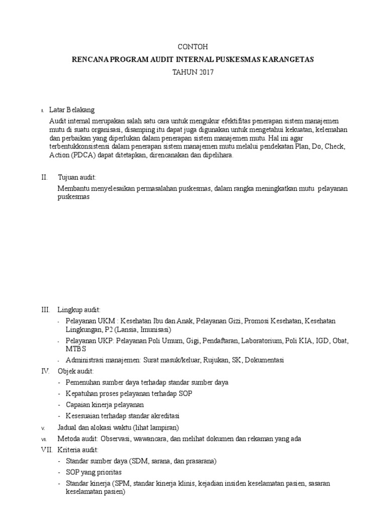 Rencana Audit Internal Puskesmas | PDF