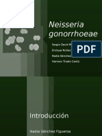 Equipo 7 Neisseria Gonorrhoeae