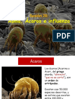 28 - Asma Acarosis Influenza 2012