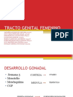 TRACTO-GENITAL-FEMENINO-FINAL.pptx