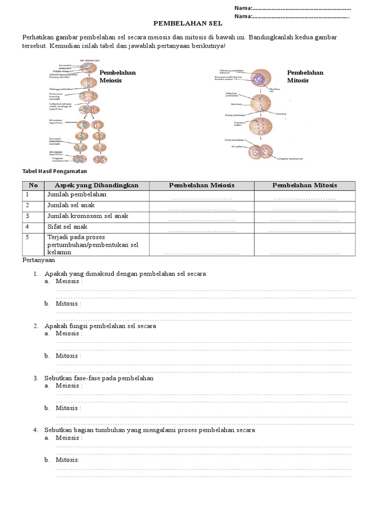 Pembelahan Sel Doc