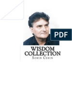 Sorin Cerin - Wisdom Collection