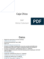 Caja Chica3