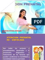 Atencion Prenatal